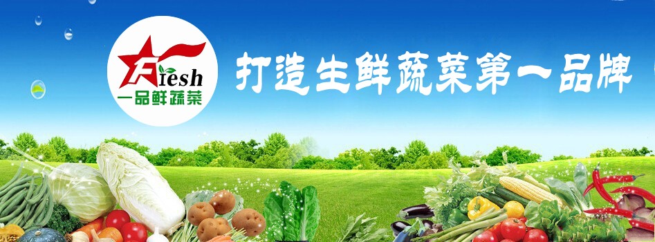2014年第1期:魅力"一品鲜" 挂牌显成效——"一品鲜"平价蔬菜连锁超市
