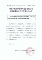 2015年度年报延期公告