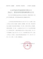 山东邦迪化学制品股份有限公司发起人、董监高所持股权解除锁定公告