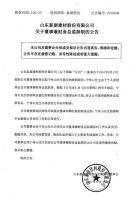 山东泰康建材股份有限公司关于董事兼财务总监辞职的公告