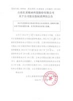 山东红星轴承科技股份有限公司关于公司股东股权质押的公告