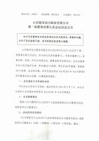 山东银河动力股份有限公司第一届董事会第九次决议公告