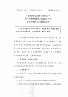 山东银河动力股份有限公司第一届董事会第八次会议暨临时股东大会通知公告