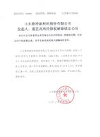 山东鲁桥新材料股份有限公司发起人、董监高所持股权解除锁定公告