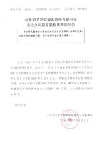 山东华龙农业装备股份有限公司关于公司股东股权质押的公告