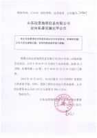 山东远景地理信息有限公司定向私募实施完毕公告