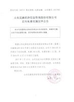 山东迈森金融信息服务股份有限公司名称变更公告