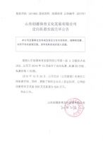 山东创濠体育文化发展有限公司定向私募实施完毕公告