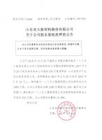 山东亚大新材料股份有限公司关于公司股东股权质押的公告