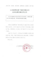 山东淄博电瓷厂股份有限公司定向私募实施完毕公告