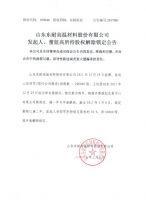 山东东耐高温材料股份有限公司发起人、董监高所持股权解除锁定公告
