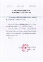 山东致才颜料科技股份有限公司第一届董事会第二次会议决议公告