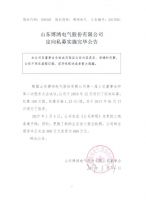 山东博鸿电气股份有限公司定向私募实施完毕公告