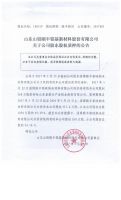 山东山铝颐丰铝基新材料股份有限公司关于公司股东股权质押的公告