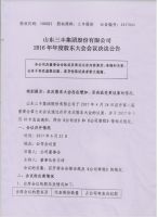 山东三丰集团股份有限公司2016年股东大会决议公告