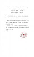 山东太乙制药有限公司定向私募实施完毕公告