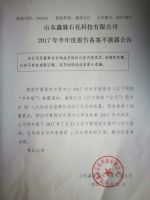 山东鑫脉石化科技有限公司2017年半年度报告备案不披露公告