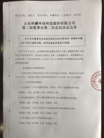 山东科麟环保科技股份有限公司第二届董事会第二次会议决议公告