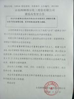 山东柯林维尔化工股份有限公司董监高变更公告