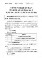 山东临沂沂州水泥股份有限公司第六届董事会第九次会议决议公告暨召开2017年度第一次临时股东大会的通知