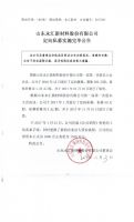 山东永汇新材料股份有限公司定向私募实施完毕公告