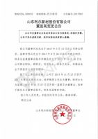 山东利尔新材股份有限公司董监高变更公告