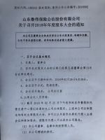 山东鲁伟保险公估股份有限公司关于召开2018年年度股东大会的通知