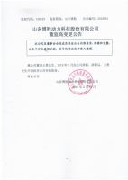  山东博胜动力科技股份有限公司董监高变更的公告