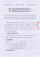 烟台只楚化学新材料股份有限公司第二届监事会第四次会议决议的公告