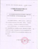 山东鑫宝铝业股份有限公司2018年董监事变更公告