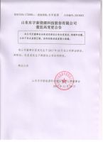 山东东宇新能源科技股份有限公司董监高临时变更