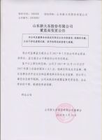 山东新大东股份有限公司  董监高变更公告