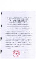 山东山铝颐丰铝基新材料股份有限公司关于公司股东股权质押的公告