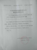 山东绿特新能源有限公司董监高变更公告