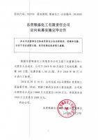 东营顺泰化工有限责任公司定向私募实施完毕公告