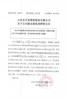 山东史贝美肥料股份有限公司关于公司股东股权质押的公告