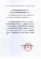 山东利迪贸易股份有限公司发起人所持股权解除锁定公告