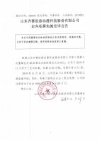山东齐赛创意动漫科技股份有限公司定向私募实施完毕公告