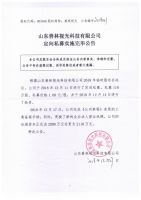 山东善林视光科技有限公司定向私募实施完毕公告