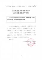 山东齐盈纳米科技有限公司定向私募实施完毕公告