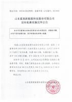 山东蓝鼎新能源科技股份有限公司定向私募实施完毕公告