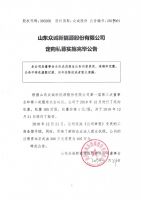 山东众诚新能源股份有限公司定向私募实施完毕公告