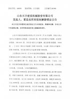 山东天宇建设机械股份有限公司发起人、董监高所持股权解除锁定公告