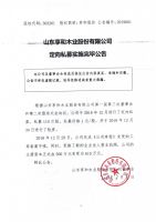 山东享和木业股份有限公司定向私募实施完毕公告