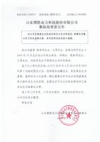 山东博胜动力科技股份有限公司的董监高变更公告
