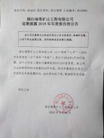 烟台瑞帮矿山工程有限公司关于2018年年报延期披露的公告