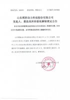山东博胜动力科技股份有限公司发起人、董监高所持股权解除锁定公告
