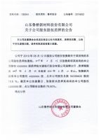 山东鲁桥新材料股份有限公司关于公司股东股权质押的公告