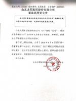 山东龙图家居股份有限公司董监高变更公告