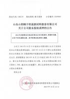 山东山铝颐丰铝基新材料股份有限公司关于公司股东股权质押的公告